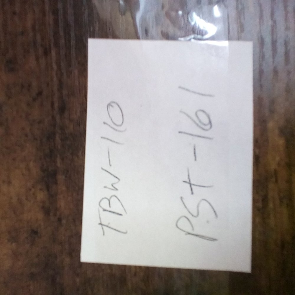 Conzuri Men's Blue and White Sneakers - Picture 7 of 7